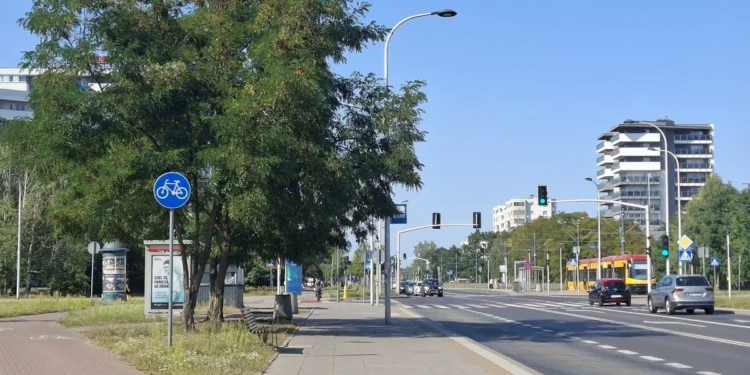 zielona-transformacja-miast