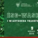 esg-washing