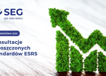 seg-konsultacje-esrs