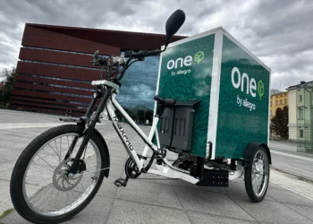 allegro-zielona-logistyka