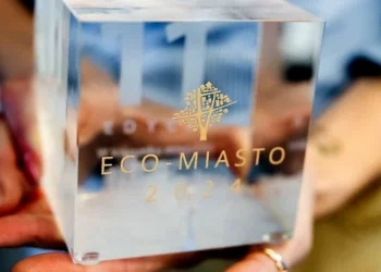 eco-miasto-statuetka