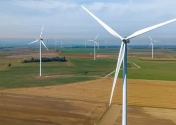 farma-waitrowa-energa