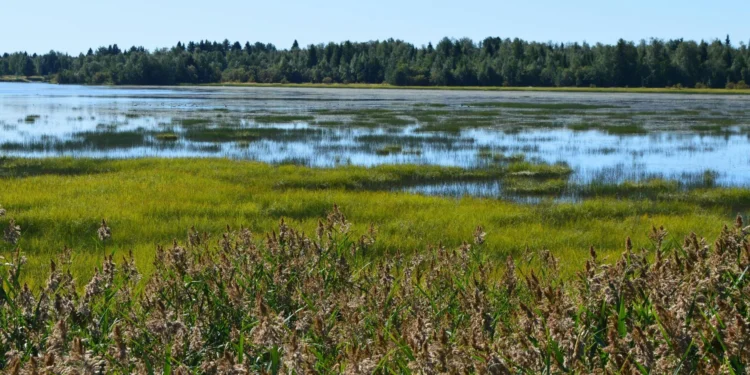 mokradla-ochrona-bioroznorodnosci