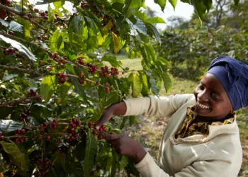 tchibo-zrownowazony-rozwoj