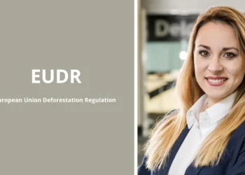 deloitte-dzial-esg-Karolina-Han-Pławiak