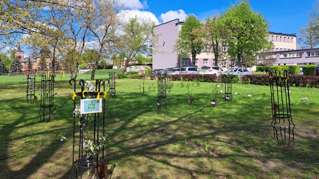 eko-edukacja-fundacja-bos
