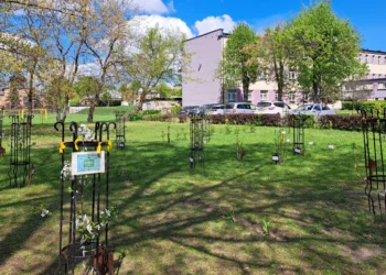 eko-edukacja-fundacja-bos