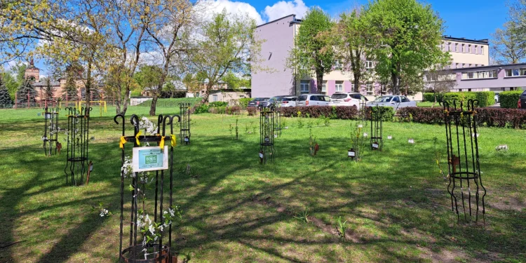 eko-edukacja-fundacja-bos