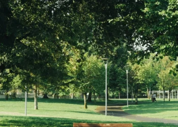 zielona-transformacja-miast