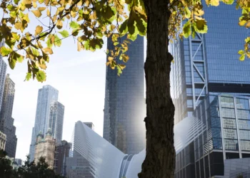 adaptacja-klimatyczna