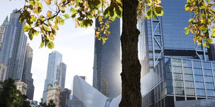 adaptacja-klimatyczna