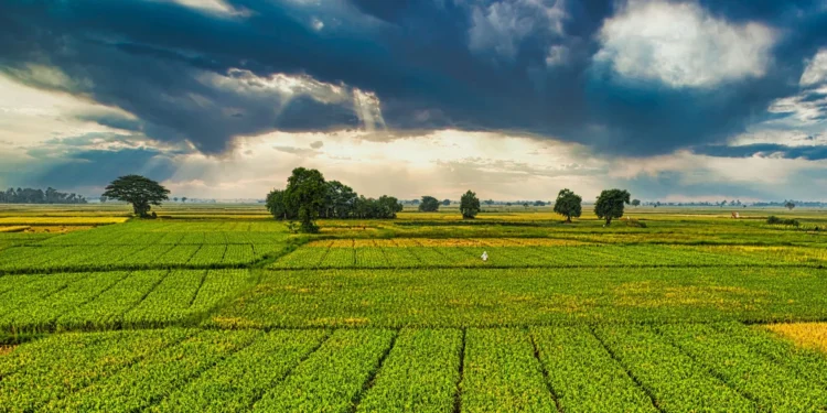 dezinformacja-klimatyczna