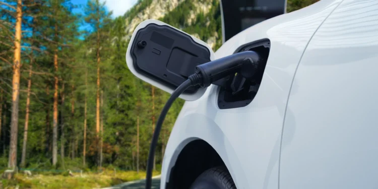 elektomobilnosc-w-parkach-narodowych