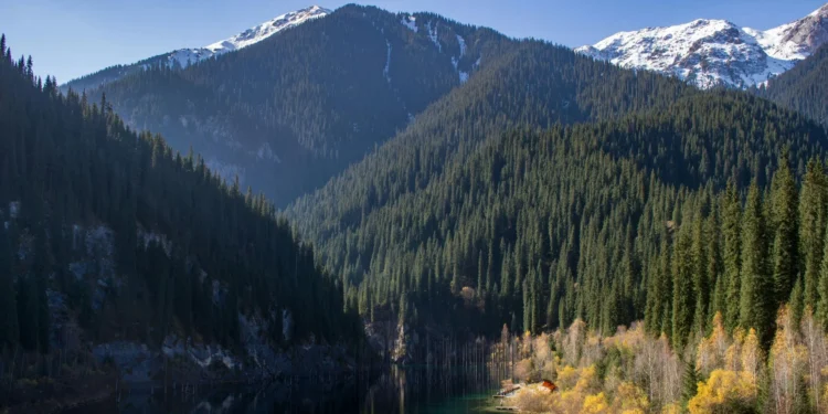 regulacje-klimatyczne-w-krajach-ue