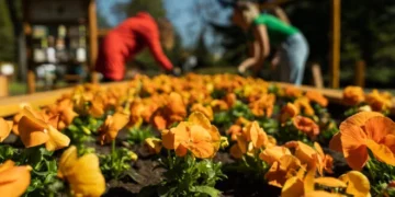 orange-dzialania-esg