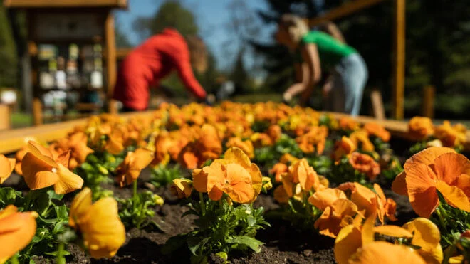 orange-dzialania-esg