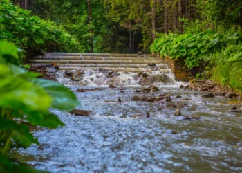 Drewniana-kaskada-na-jednej-z-rzek-Zywiecczyny_Foto.KoalicjaDbamyoWode-