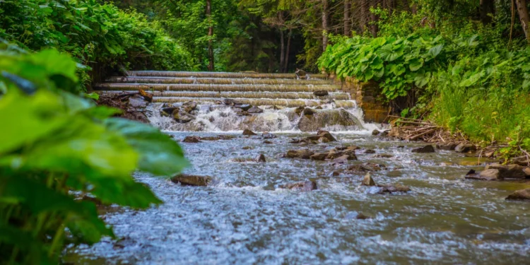 Drewniana-kaskada-na-jednej-z-rzek-Zywiecczyny_Foto.KoalicjaDbamyoWode-