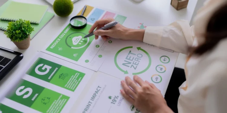 capgemini-5-lat-drogi-do-net-zer