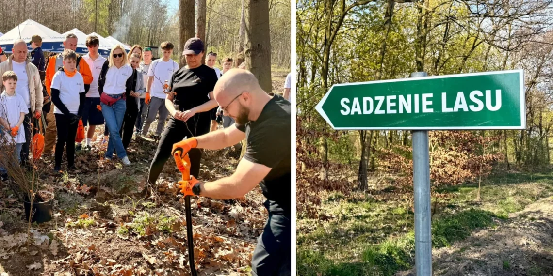 kghm-wspiera-bioroznorodnosc