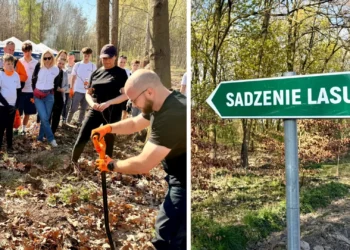 kghm-wspiera-bioroznorodnosc