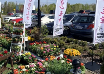 Sadzonka_za_ubranie-designer-outlet