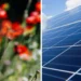 mleczarnia-turek-laka-kwietna-zielona-energia