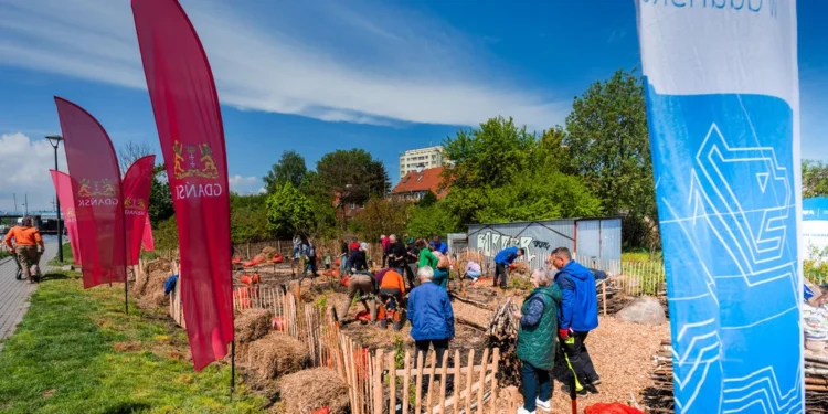 sadzenie_10_miejskiego_mikrolasu-gdansk