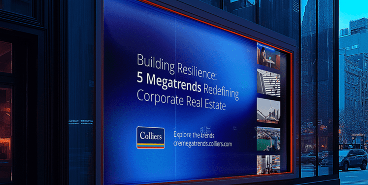 Building_resilience_colliers