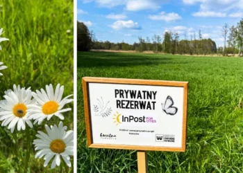 inpost-fundacja-kwietna