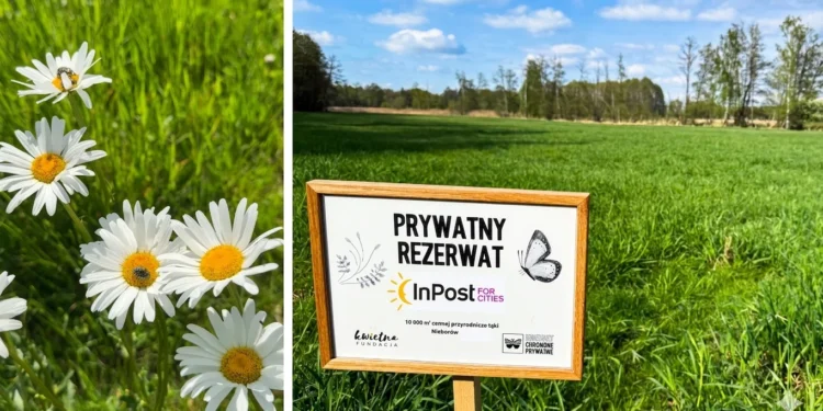 inpost-fundacja-kwietna