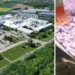 mars-poznan-30-lat-zrownowazony-rozwoj