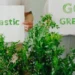 postawy-prosrodowiskowe-eco-choice