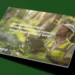 wpip-raport-esg-2025