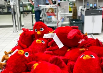 auchan-csr-maly-rudzik