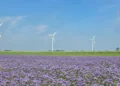 engie-farma-wiatrowa