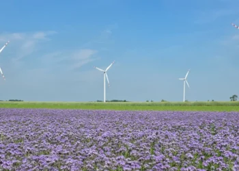engie-farma-wiatrowa