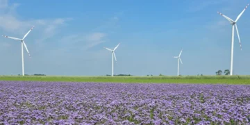 engie-farma-wiatrowa