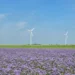 engie-farma-wiatrowa