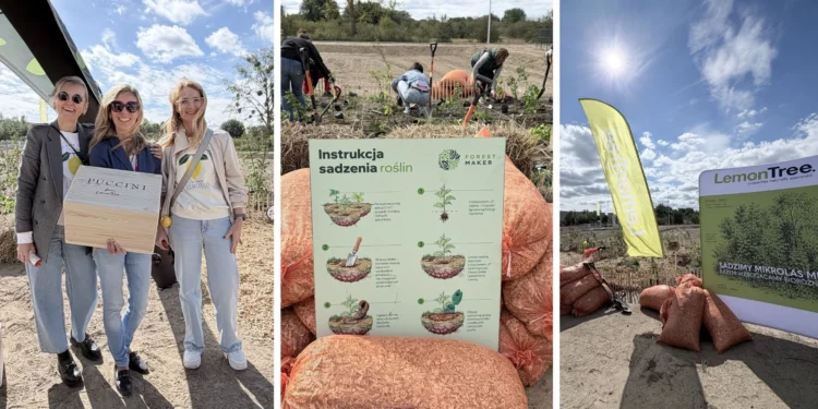 lemontree-mikrolas-szczecin-ochrona-bioroznorodnosci