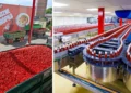zrownowazona-produkcja-kraft-heinz-pudliszki