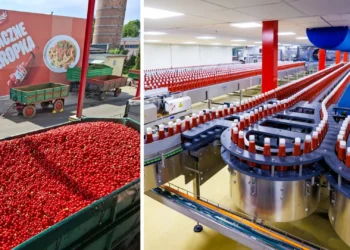 zrownowazona-produkcja-kraft-heinz-pudliszki