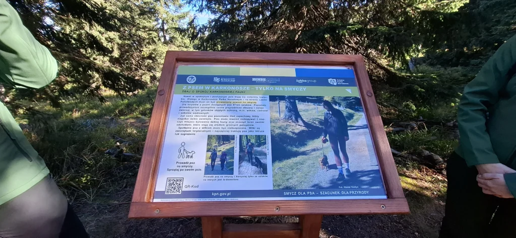 wolontariat-pracowniczy-zabka-karkonoskoi-park-narodowy