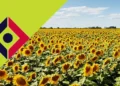 imc-docenione-za-zrownowazone-rolnictwo-resilience-mark
